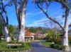 1014 CREEKSIDE Way
 Ojai CA 93023