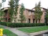 87 Stepping Stone 
 Irvine CA 92603
